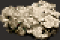 Thumbnail for version as of 14:27, 19 December 2025