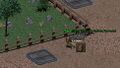 Thumbnail for version as of 10:09, 25 June 2026