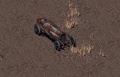 Thumbnail for version as of 10:10, 14 April 2017