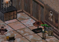 Thumbnail for version as of 14:08, 27 February 2026