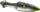 ELECTRO-RAD Rocket.png