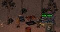 Thumbnail for version as of 00:01, 22 May 2026